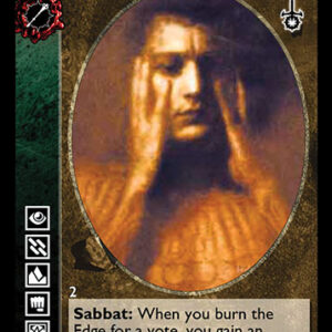 Vincent Day, Paladin and Paragon